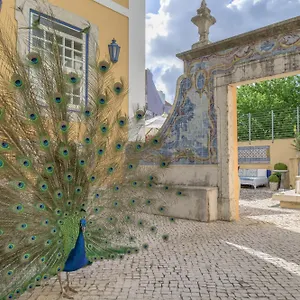 Hotel Solar Do Castelo - Heritage Collection - Alfama, Lisbona